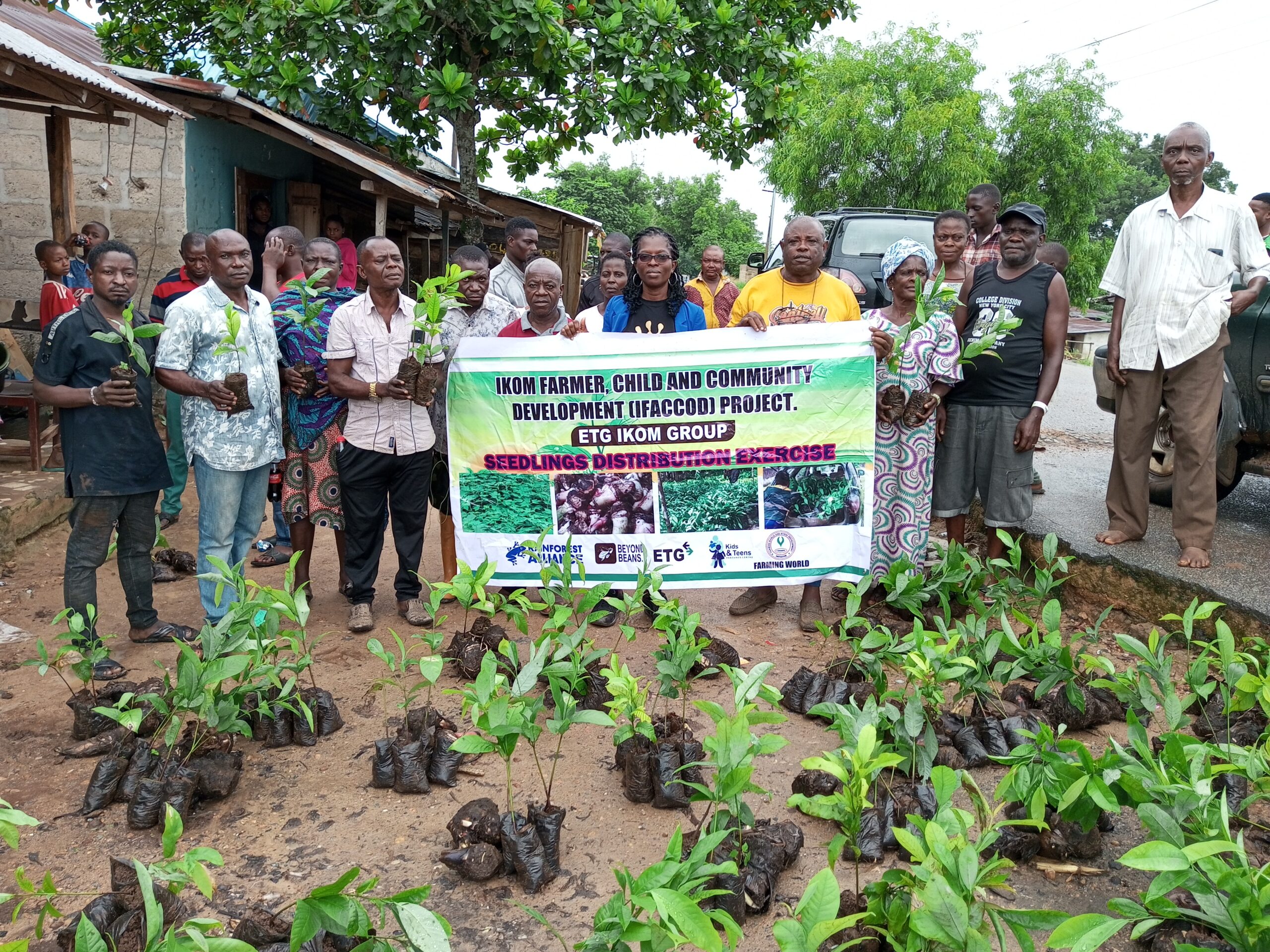 Cultivating Change: Seeds of Hope